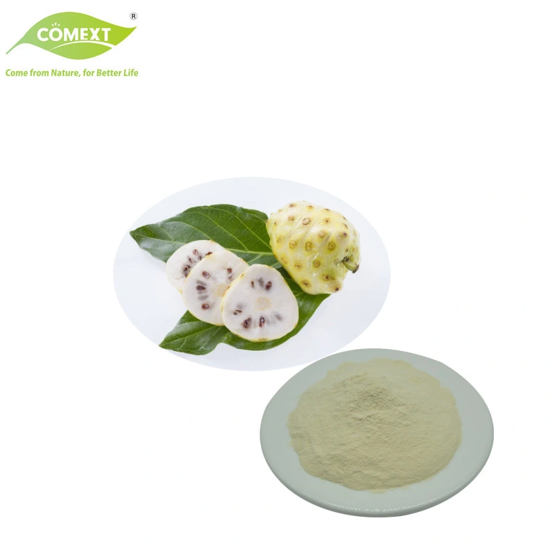 Comext Supply Free Sample Morinda Citrifolia Extract Noni Juice Powder ملحق الصحة