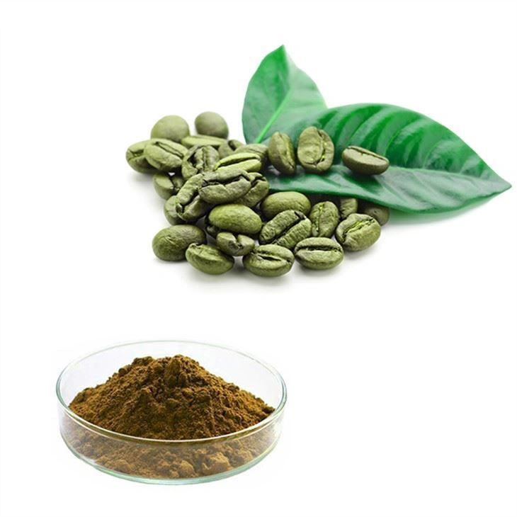 Natural Extract 50% Chlorogenic Acids Powder Green Coffee Bean Extract