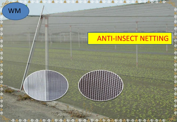 شبكة حماية الحشرات المضادة للحشرات من البستنة المضادة للحشرات