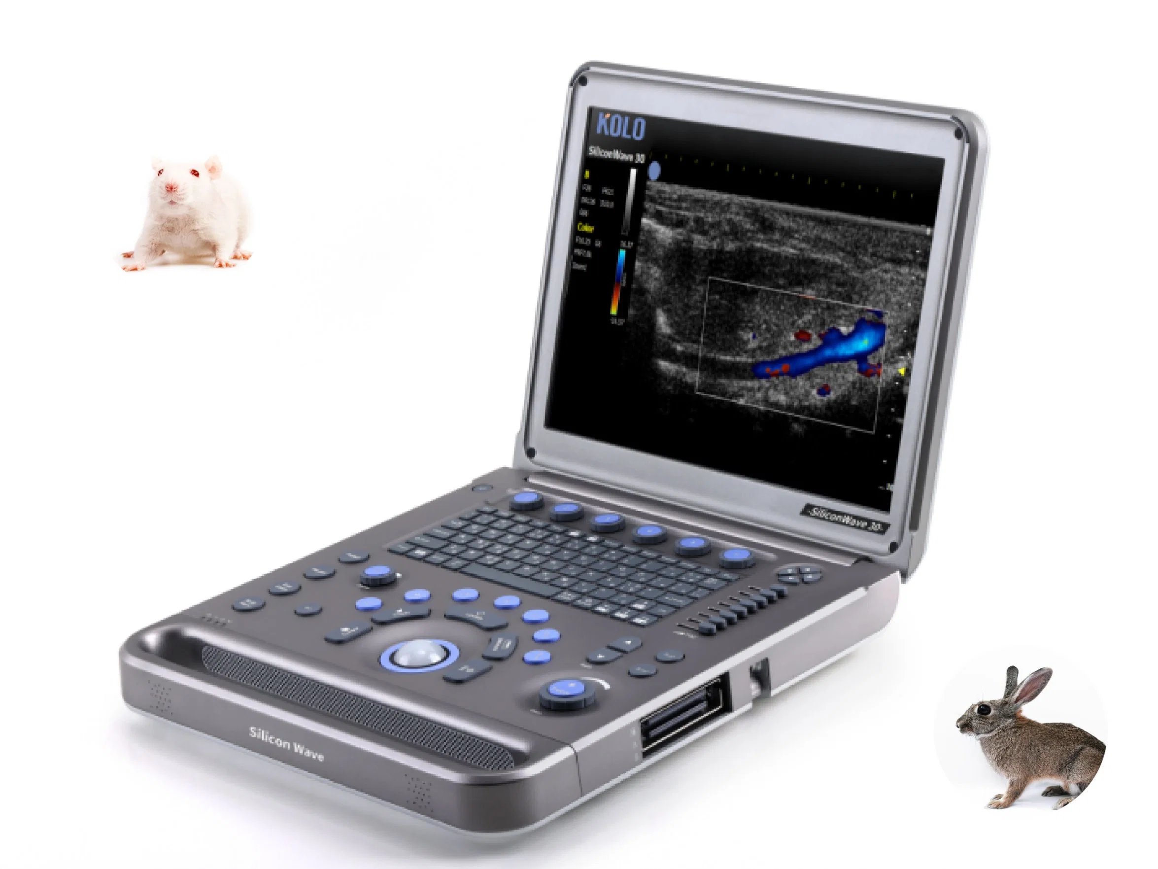 Power Mode Portable Ultrasound Scanner for Lab Animals