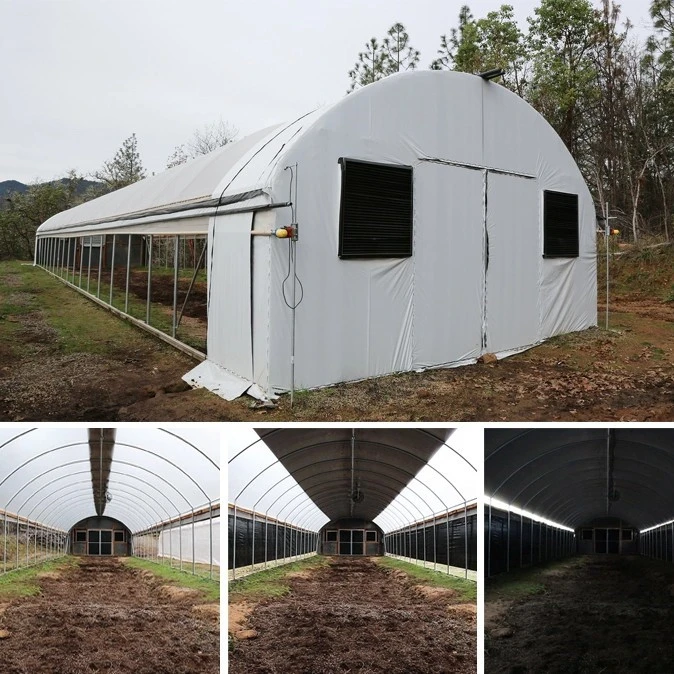 Agriculture Best Selling Small Tunnel Exterior Light Deprivation Green House Blackout Greenhouses with Cooling Pad and Exhaust Fans for Economical Crops Growing