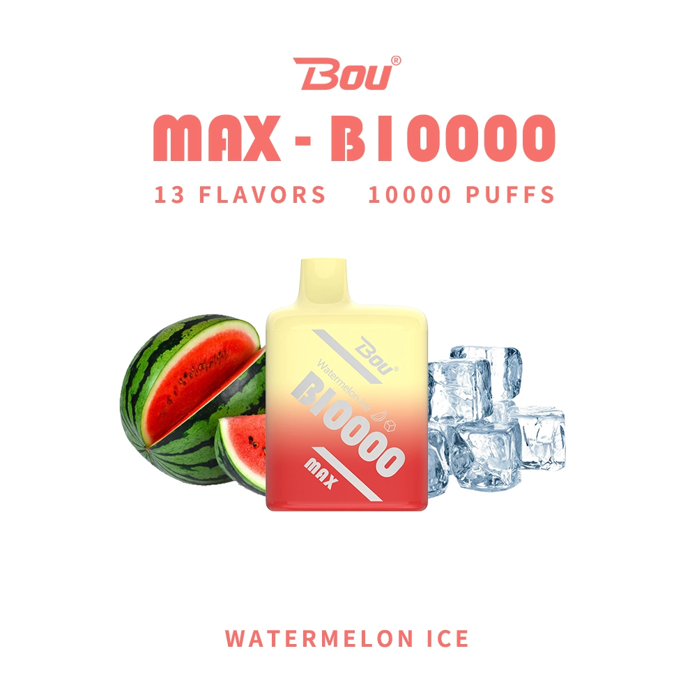 Bou Max B10000 bobina de malla recargable desechable VAPE