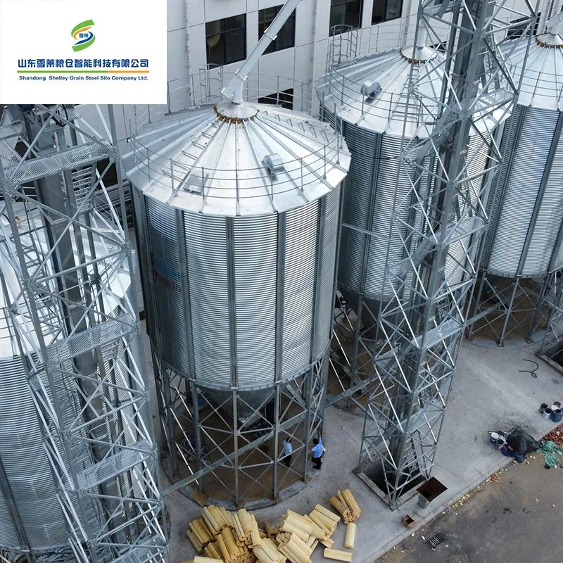 500 ~ 15000 toneladas Tolva de acero de grano de arroz cáscara de maíz para silo de almacenamiento de trigo Silos cono