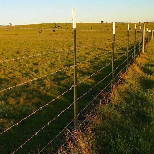 1.33lb/FT, Wholesale/Supplier Green Metal USA Farm Studded Steel T Fence Posts