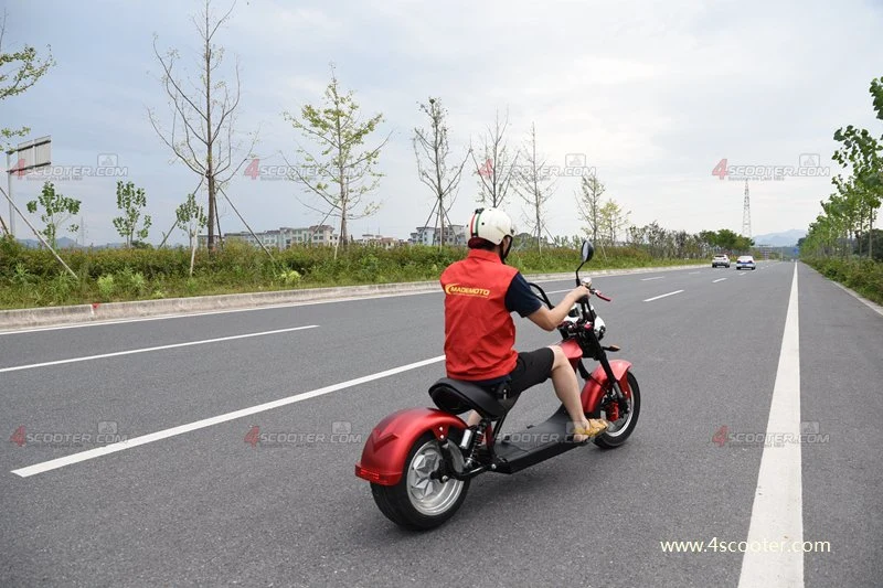 Nuevo tipo de 2000W CEE motocicleta eléctrica el picador Citycoco Scooter