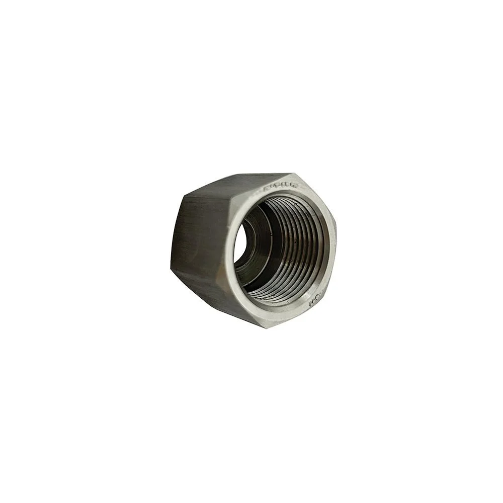 Precision Turned Parts Stainless Steel Males and Females Fittings