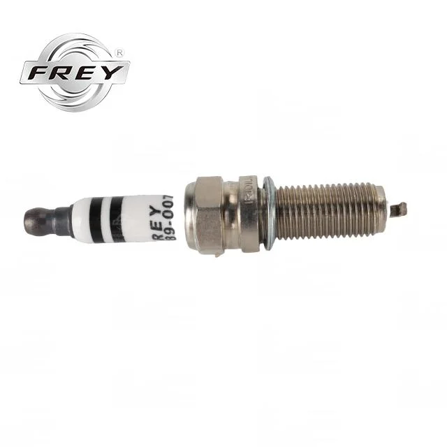 Spark Plug 12120039664 pour F20 F30 F35 F18 Auto Voiture de pièces de rechange