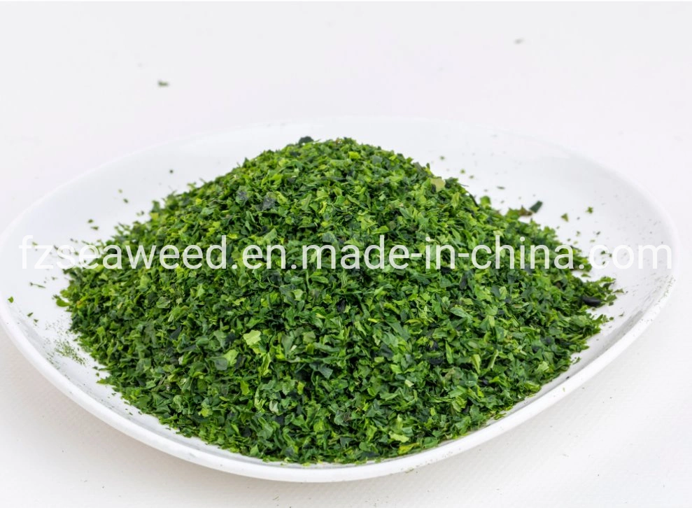 High quality/High cost performance  Sea Vegetable Dried Seaweed Alga Ulva Green Nori Chips