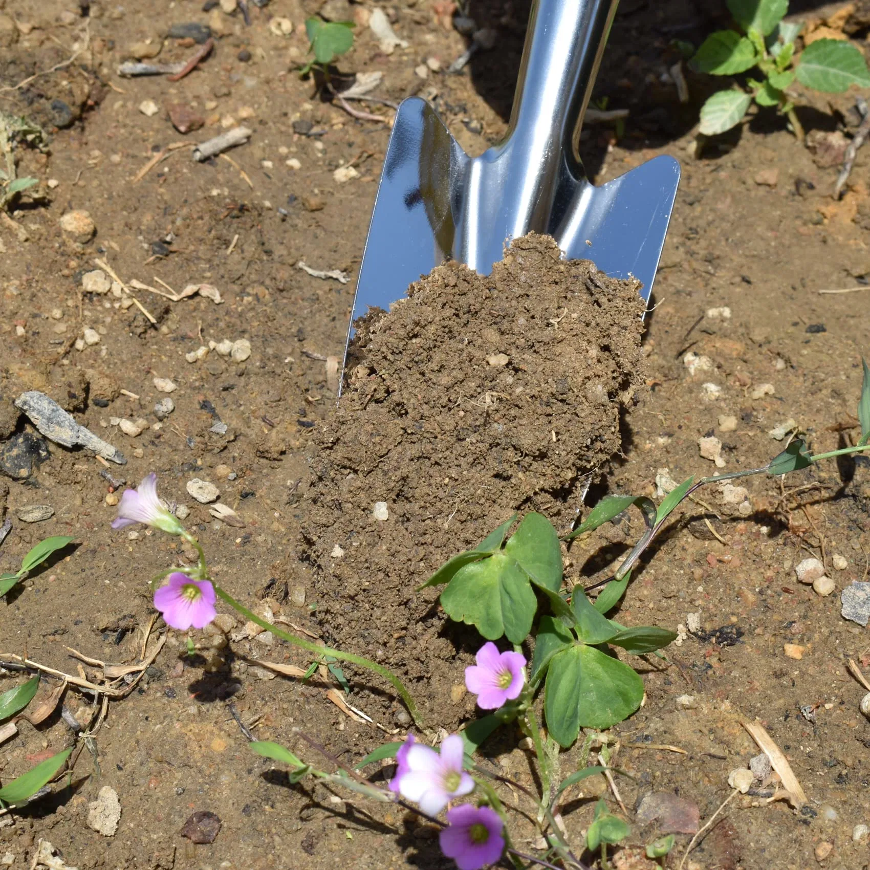 Factory Outlet Stainless Steel Mini Hand Trowel Small Spade Shovel Garden Tool