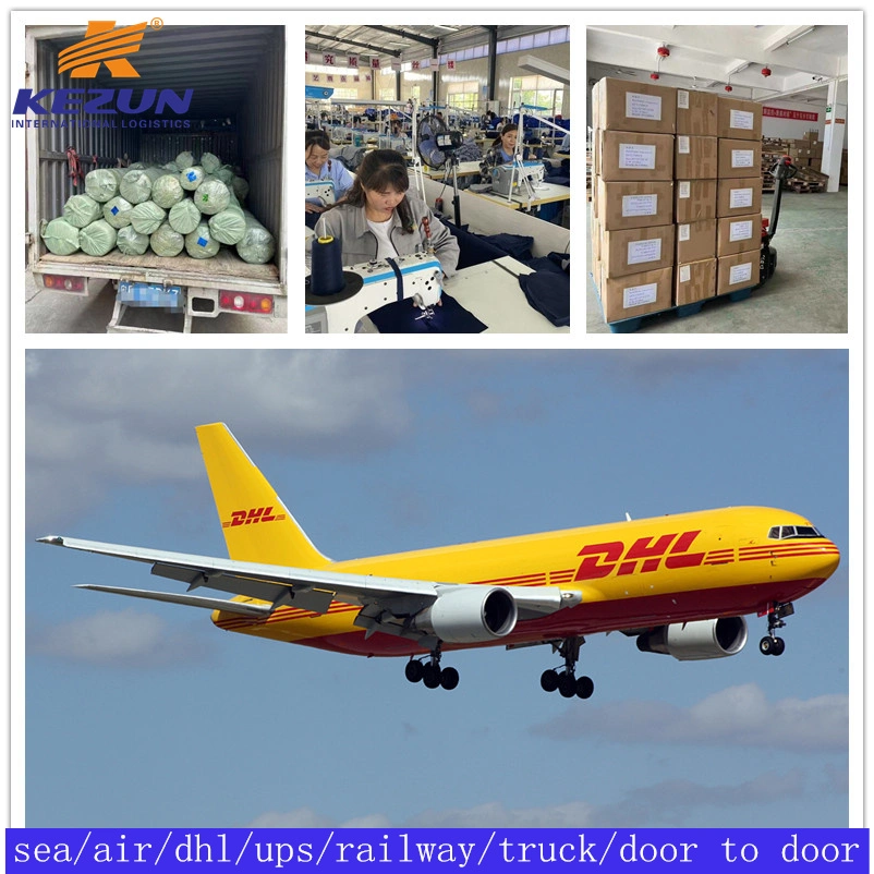 Safe Logistics Sea Freight Shipping Company From China to Tunisia with Customs Tax/Duty