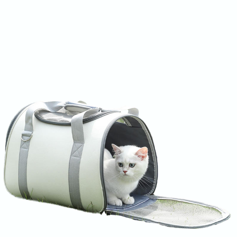 Soft-Sided Pet Carrier with Foldable Design and White Shoulder Strap