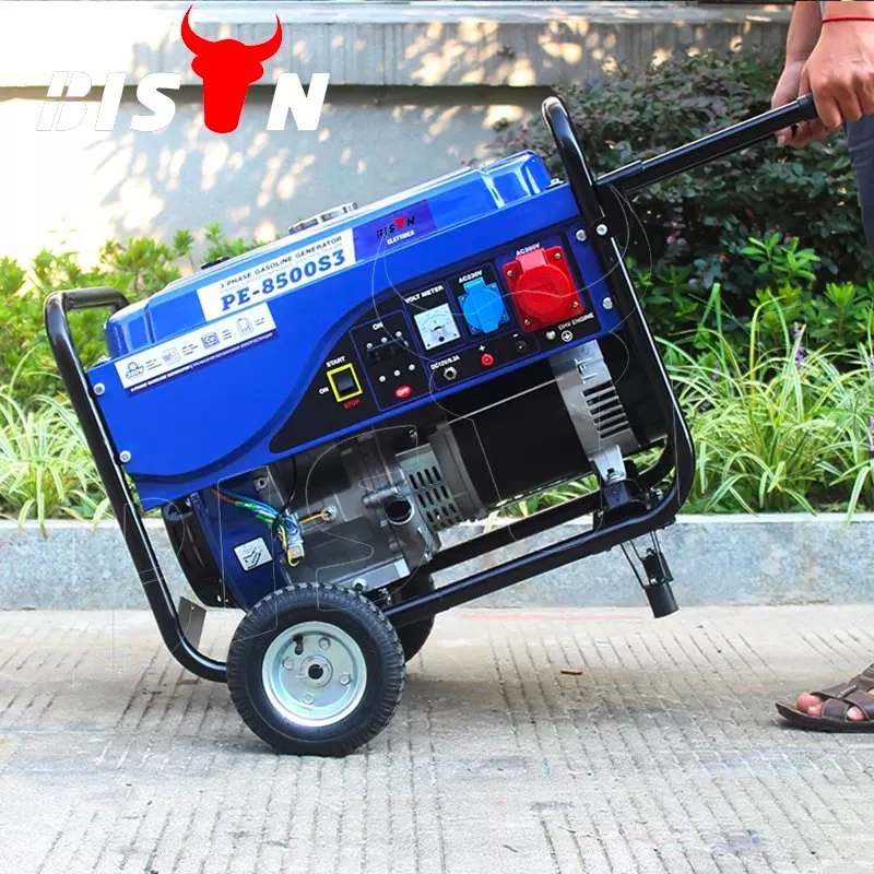 Bison Noiseless OEM Factory LPG Gas Generator