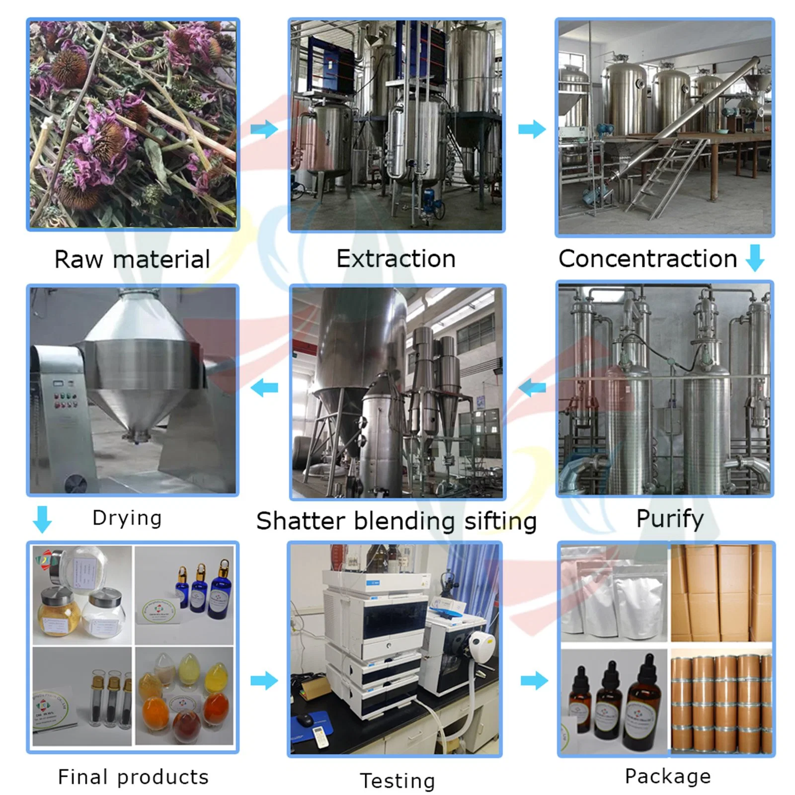 Alimentation d'usine Wuhan Hhd Citrus Aurantium (l'orange amère) Extrait de la synéphrine Neohesperidin Citrus bioflavonoïdes