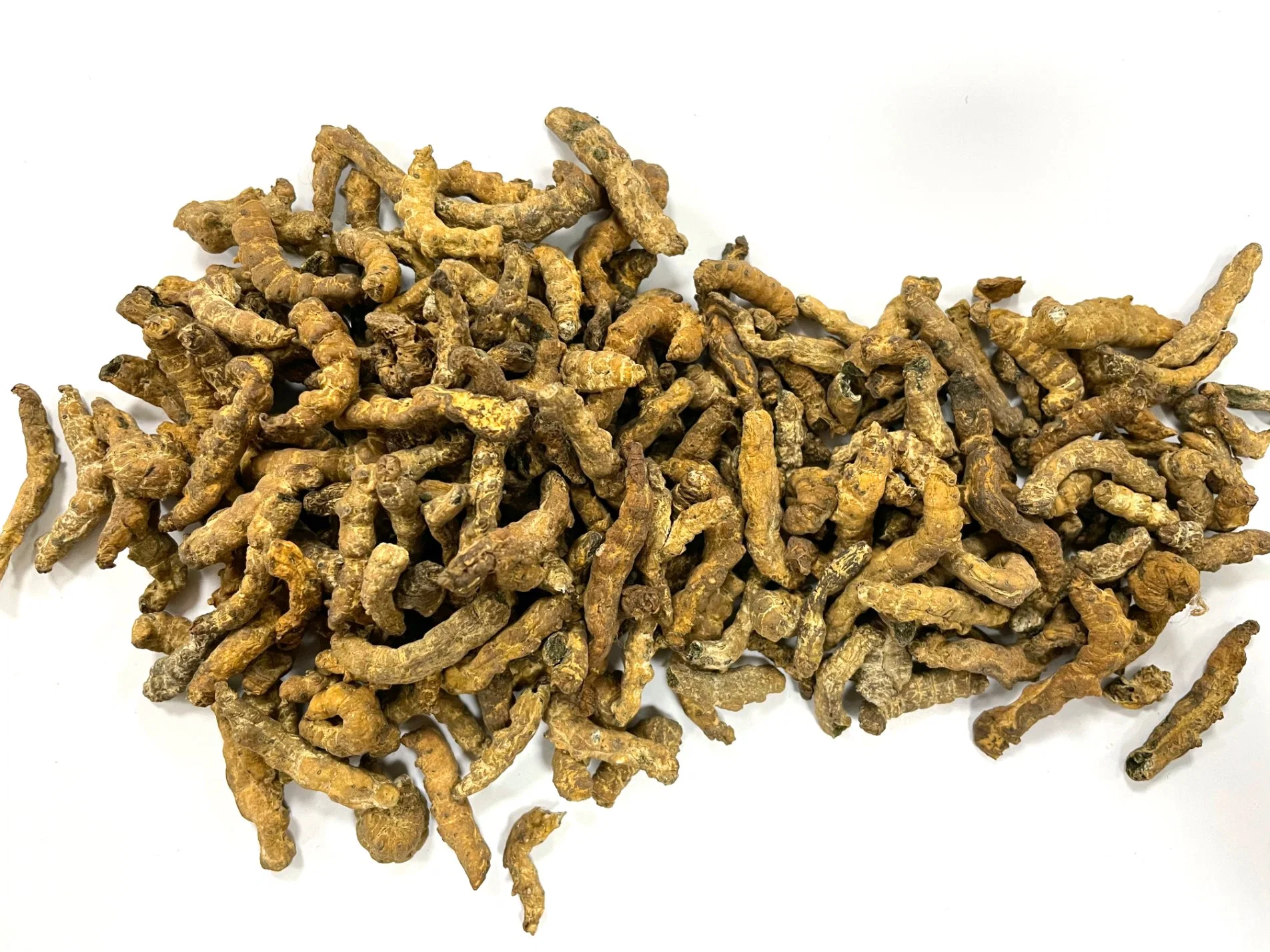 Chao Jiang Can Bombyx Batryticatus Hot Sale Chinese Traditional Herb Dried Fried Herbal Medicine