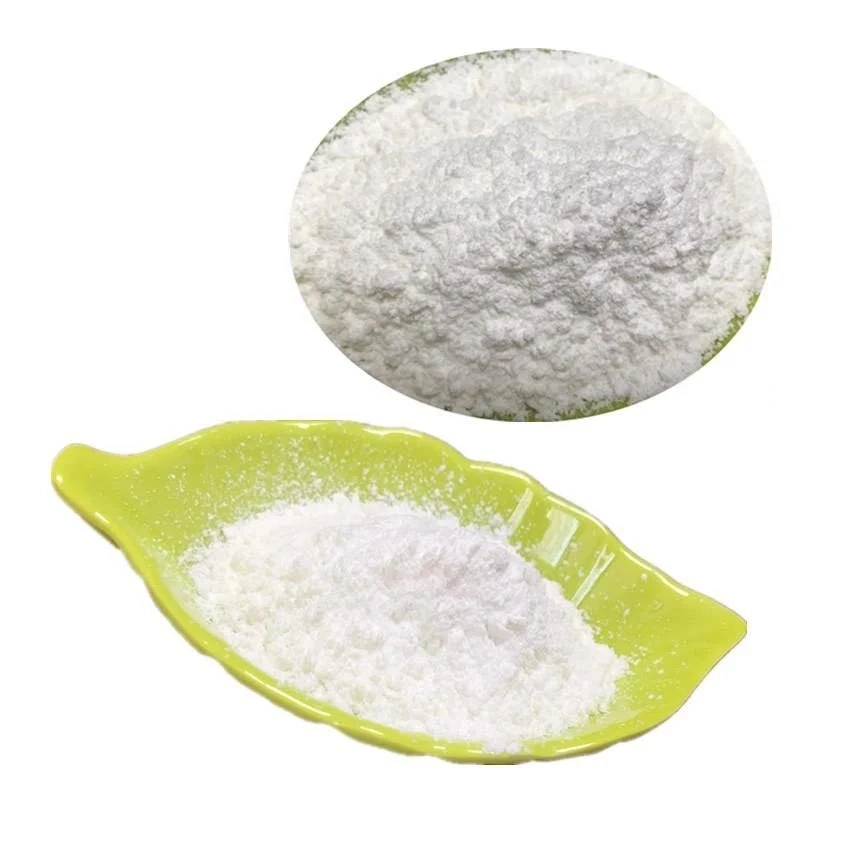 Supply High Quality Nootropic Fasoracetam Powder CAS 110958-19-5 Fasoracetam