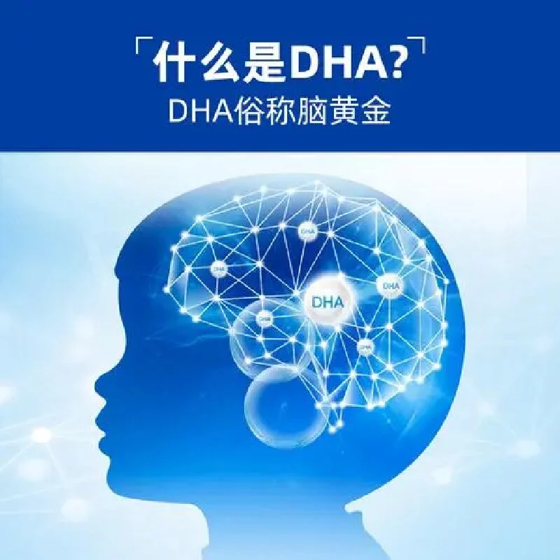 Original Factory Supply DHA Powder for Nutritional Supplement