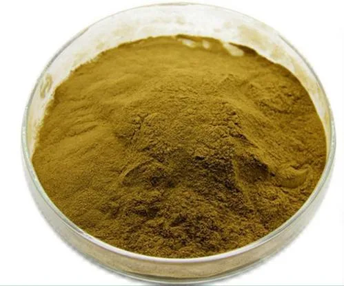 Pure Natural Hederagenin 1.0% Hedera Helix Extract