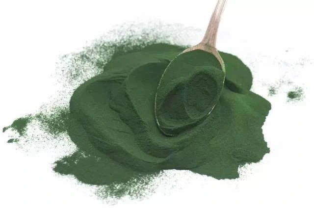 Suplemento nutricional natural verde alga espirulina en polvo fino