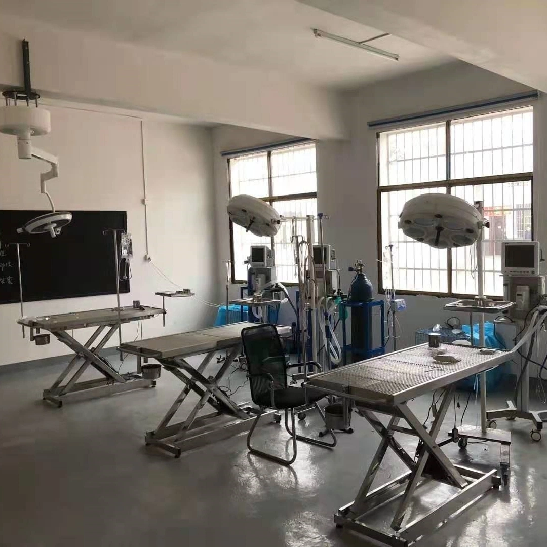 Factory Supply Luxury Electric Medical Table Veterinary Instruments