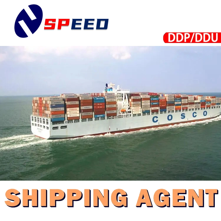 Cheapest Sea Freight Forwarder From China to USA Canada Mexico Cargo Services