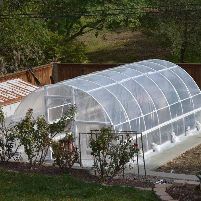 Large Film Agricultural Greenhouses for Agriculture Used