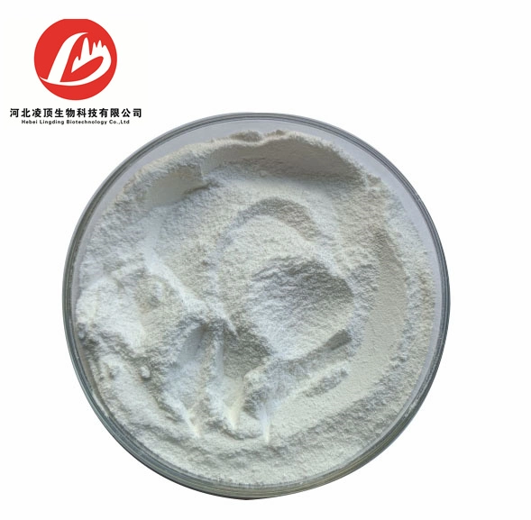 High quality/High cost performance O-Acetyl-L-Carnitine Hydrochloride Powder CAS 5080-50-2 Chinese Manufacturer