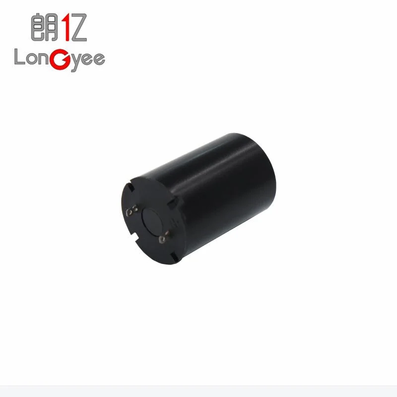 12V Brushed Coreless Motor 17mm Ball Bearing Magnetic DC Motor for Robots Tattoo Pen and Nail Drill