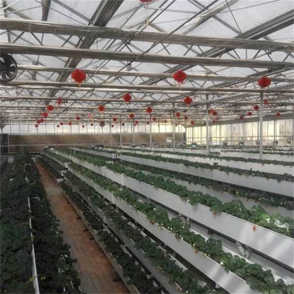 Exportation en usine systèmes de culture hydroponique PVC plante cultivent le bac de gouttière