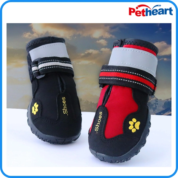 Manufacturer Waterproof Pet Dog Mesh Shoes, Pet Accessories