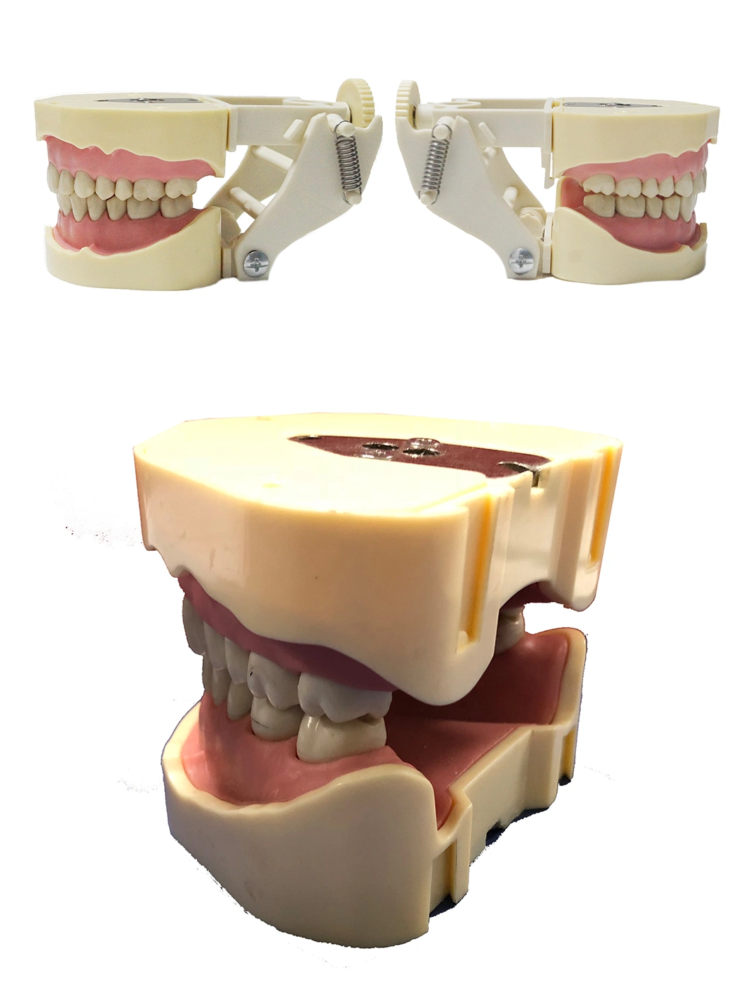 Melhor qualidade Mesa montado odontológico cabeça manequim Tontagem dentária Kit