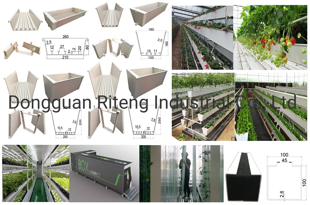 Hydroponics Growing Systems for Vertical Farm Planting Trough Used for Vertical Farm