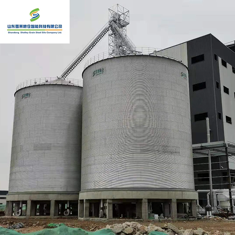 Venta caliente 1000 toneladas de acero inferior de la tolva de Silo de grano