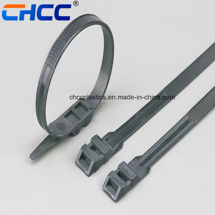 Double Head Double Locking Nylon 66 Self-Locking Cable Tie