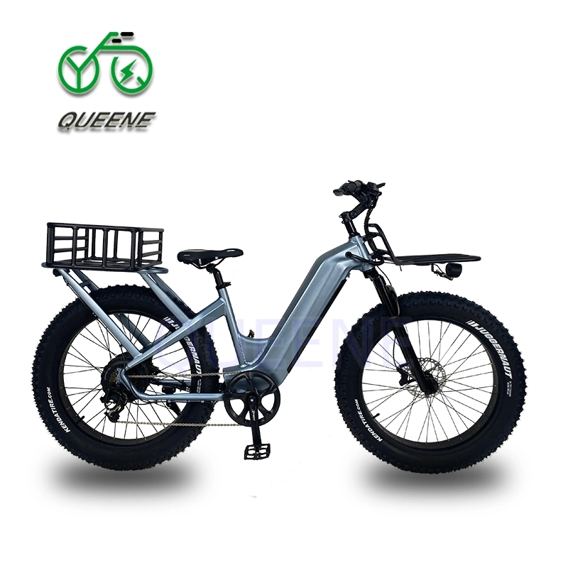 Queene Unisex High Speed 50km/H 48V500W750W 26'' Fat Tyre Engine Beach Cruiser Electric Cargo Bike with Basket