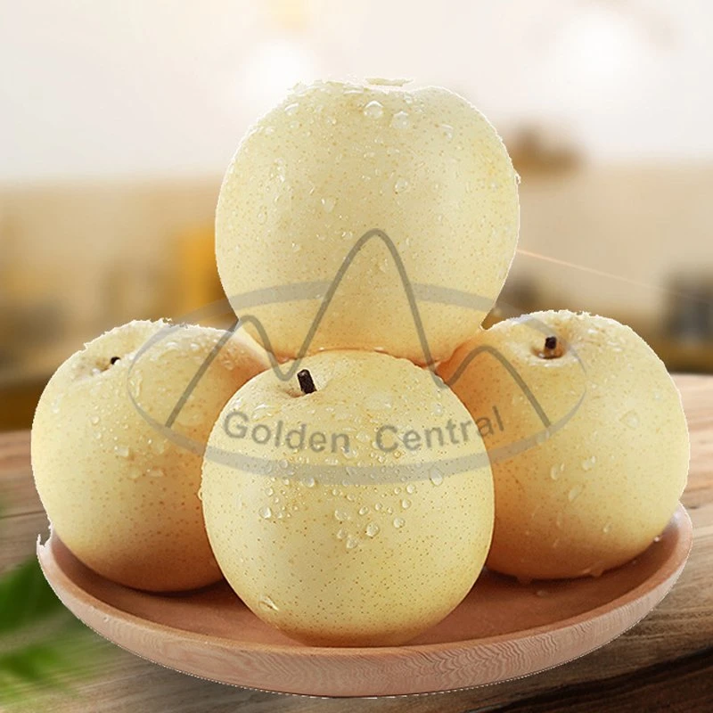 2023 Delicious Crown Pear Nueva Temporada Golden Pear exportación de China