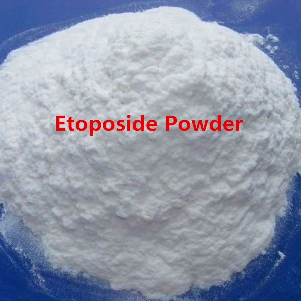 99% Bulk Etoposide CAS 33419-42-0 Topoisomerase Etoposide Powder