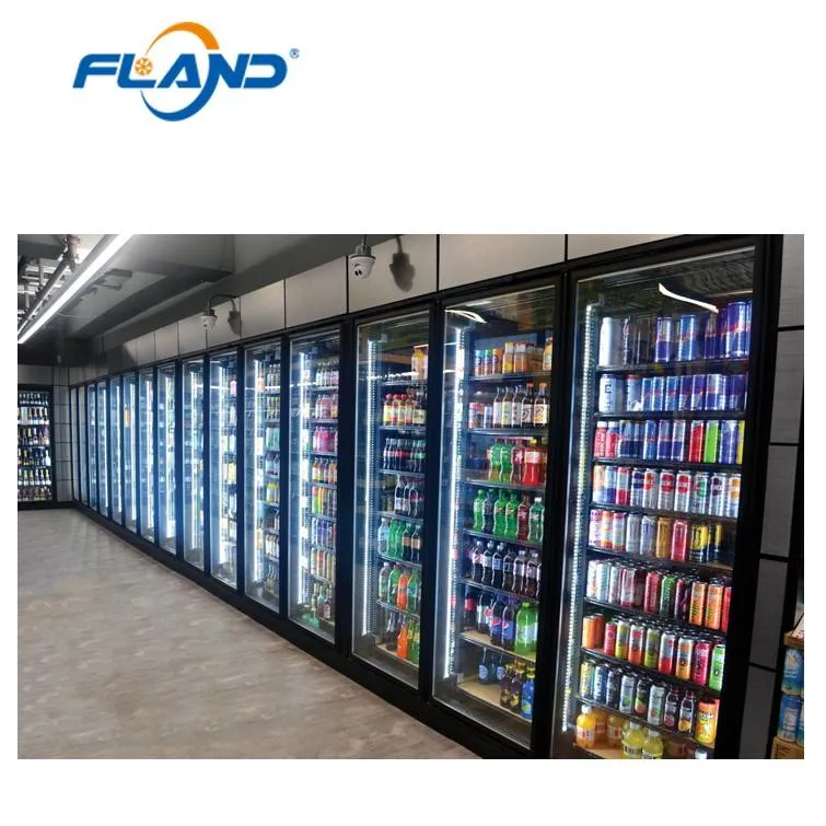 Display Walk in Fridge Cold Storage with Glass Door