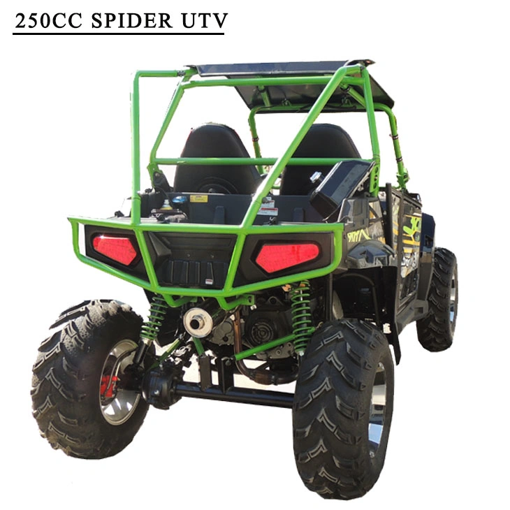 Les véhicules Uility Fangpower 2WD 250cc 2 sièges 4X2 UTV