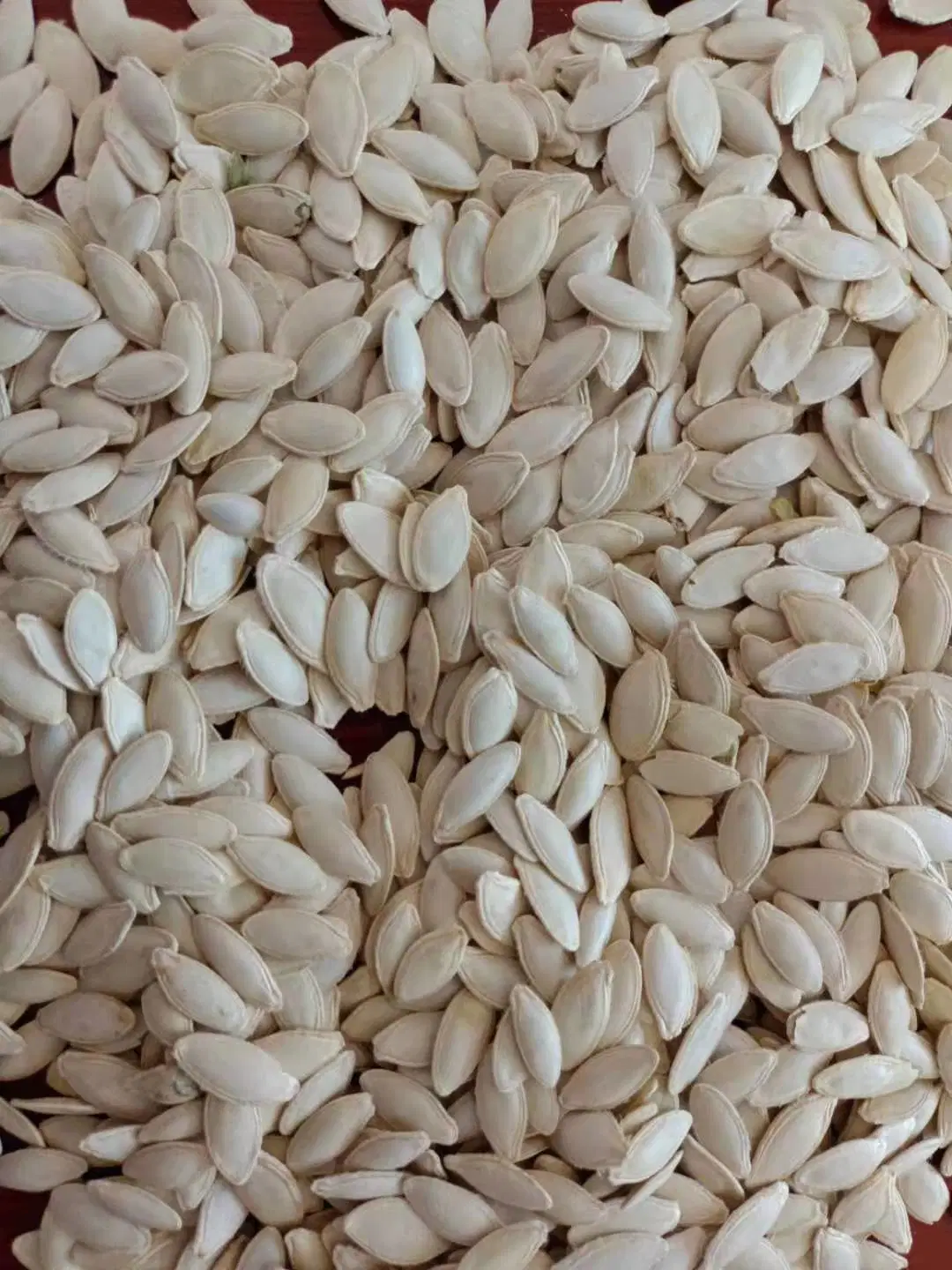 High quality/High cost performance Export China Raw Lady Nail Pumpkin Seeds with Shell 8mm