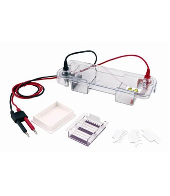 Biobase Lab Use Transferring Gel Horizontal Electrophoresis Tank for DNA Detection with Power Supply