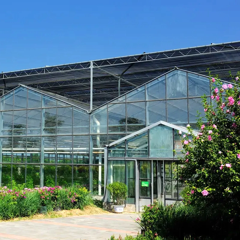 Multi Span Vegetal/Frutas/Flor/Granja/película de jardín/vidrio/PC Junta de invernadero con Rack Chat in Puerta