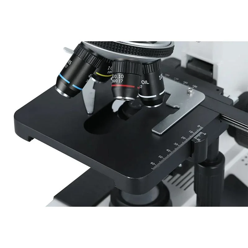 Laboratorio profesional de lentes de microscopio 10X 100X 400X plástico óptico niños Microscopio