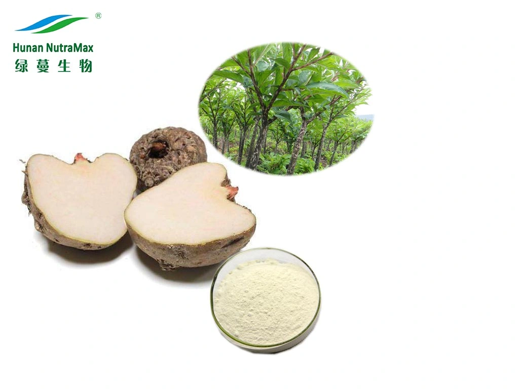 Health Care Product Weight Loss Glucomannan 70%~90% CAS 37220-17-0 Konjac Extract