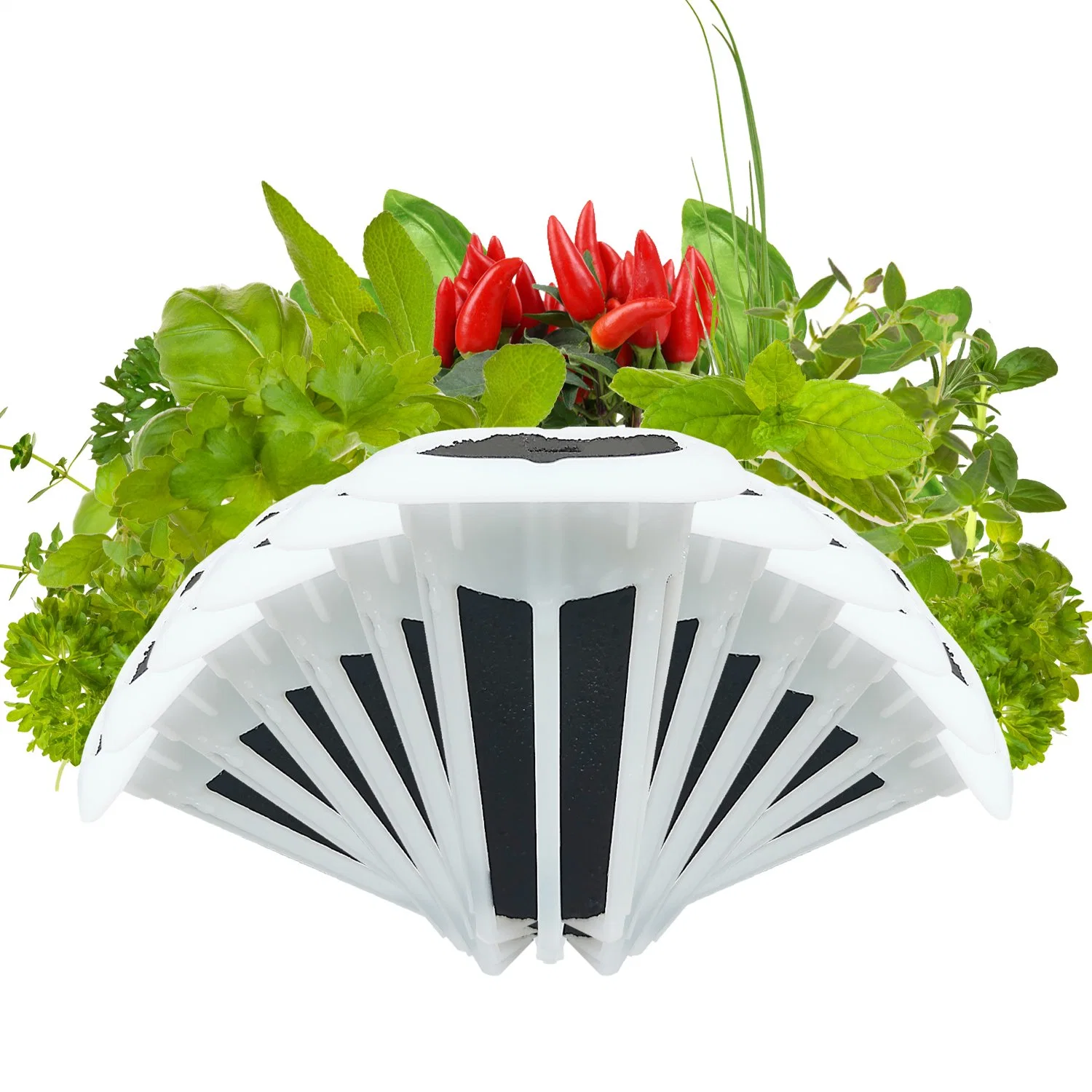 10 Pod Indoor Grow Herb Garden Kit Indoor Smart für Anlage