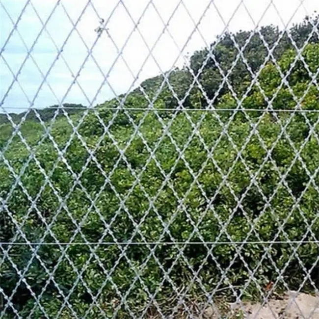 Fábrica al por mayor Albarán de alambre de la navaja galvanizado de alta calidad