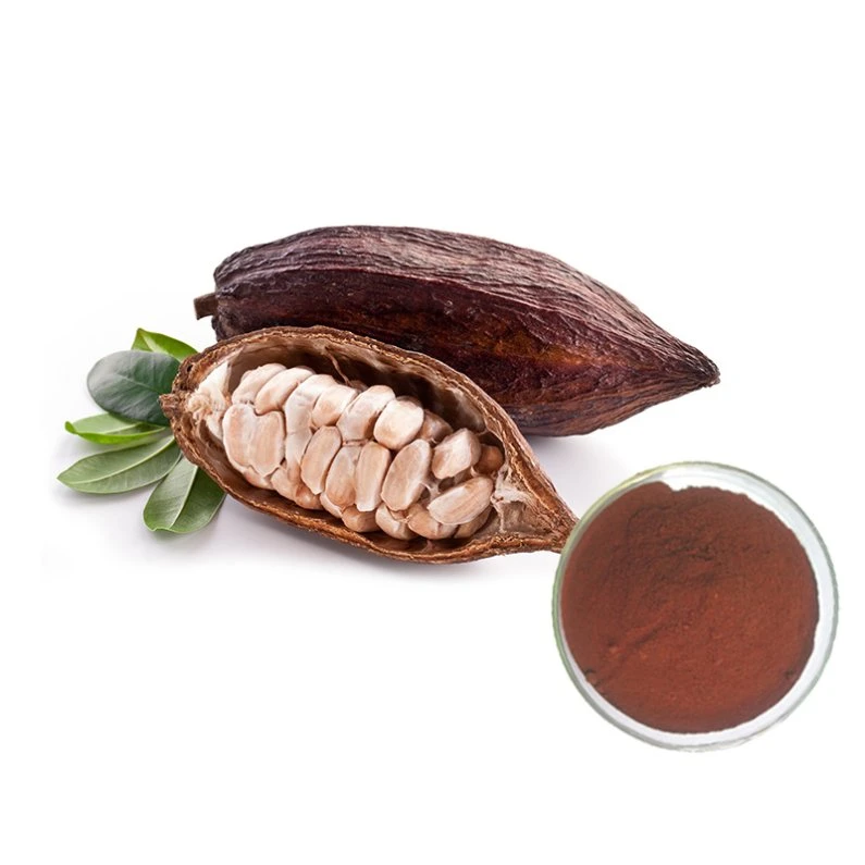 Manufacturer for Cocoa Powdered Extract