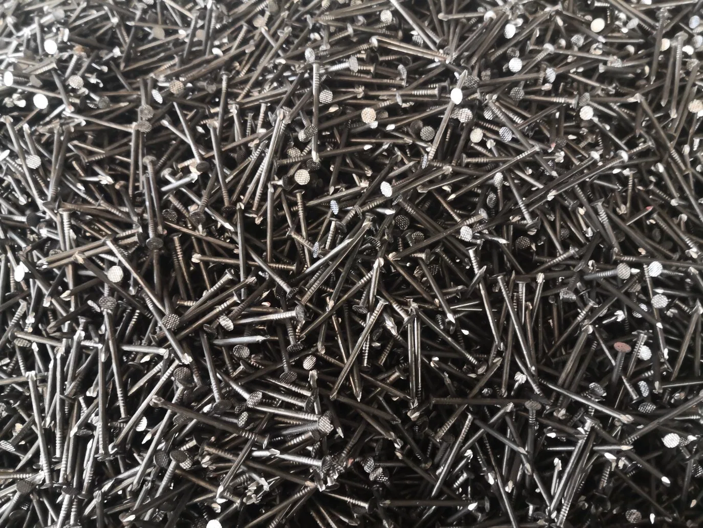 Iron Wire Common Nails Galvanized Tacks