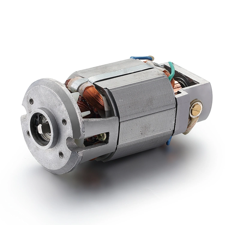 Máquina de bomba de agua 110V 220V AC Motor Universal Motor monofásico