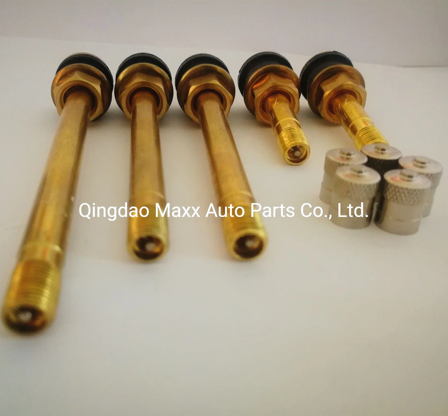 Manufacture Truck Tubeless Tire Tyre Valves Tr570 Tr572 Tr573 Tr574