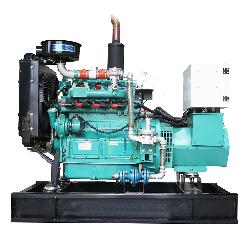 25kVA LNG CNG Generator Set Price